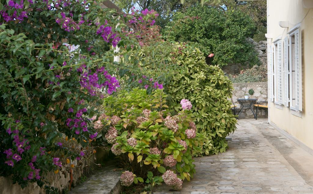Villa Bona Dubrovnik Eksteriør bilde